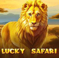 Lucky Safari